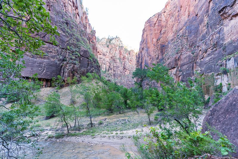 The Narrows Hike - Zion National Park 08-06-2021